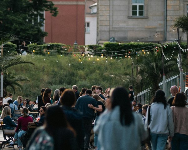 Les Meilleurs Documentaires pour Découvrir les Coulisses de la Politique