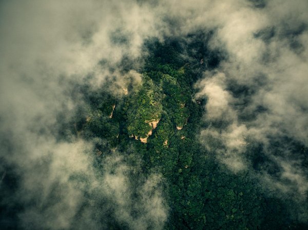 Laine de verre ou laine de bois : le guide pour bien choisir